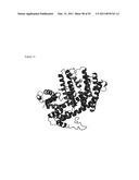 THREE-DIMENSIONAL STRUCTURE OF ISOPRENE SYNTHASE AND ITS USE THEREOF FOR GENERATING VARIANTS diagram and image