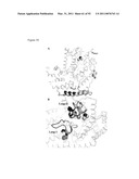 THREE-DIMENSIONAL STRUCTURE OF ISOPRENE SYNTHASE AND ITS USE THEREOF FOR GENERATING VARIANTS diagram and image