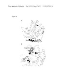 THREE-DIMENSIONAL STRUCTURE OF ISOPRENE SYNTHASE AND ITS USE THEREOF FOR GENERATING VARIANTS diagram and image