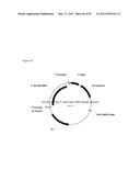 THREE-DIMENSIONAL STRUCTURE OF ISOPRENE SYNTHASE AND ITS USE THEREOF FOR GENERATING VARIANTS diagram and image