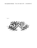 THREE-DIMENSIONAL STRUCTURE OF ISOPRENE SYNTHASE AND ITS USE THEREOF FOR GENERATING VARIANTS diagram and image