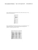 THREE-DIMENSIONAL STRUCTURE OF ISOPRENE SYNTHASE AND ITS USE THEREOF FOR GENERATING VARIANTS diagram and image