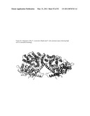 THREE-DIMENSIONAL STRUCTURE OF ISOPRENE SYNTHASE AND ITS USE THEREOF FOR GENERATING VARIANTS diagram and image