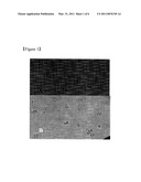 MICROALGAE WITH HIGH-EFFICIENT ABILITY TO REMOVE CARBON DIOXIDE AND USE THEREOF diagram and image