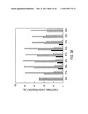 siRNA targeting TIE-2 diagram and image