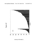 siRNA targeting TIE-2 diagram and image