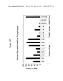 siRNA targeting TIE-2 diagram and image