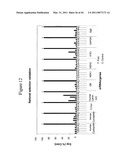 siRNA targeting TIE-2 diagram and image