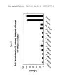 siRNA targeting TIE-2 diagram and image