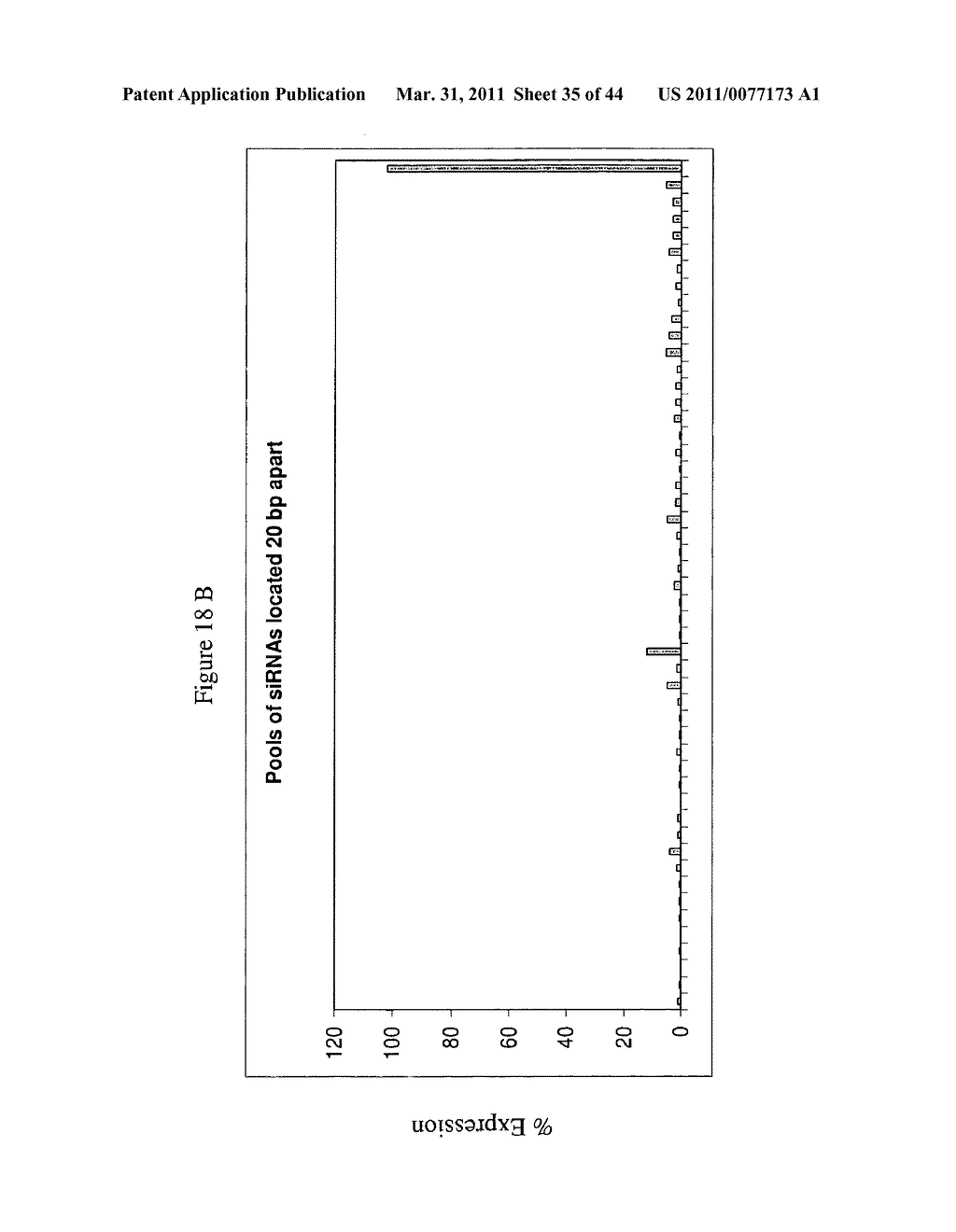 siRNA targeting TIE-2 - diagram, schematic, and image 36