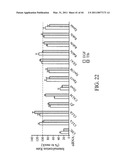 siRNA targeting TIE-2 diagram and image