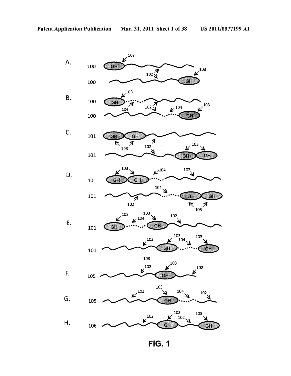GROWTH HORMONE POLYPEPTIDES AND METHODS OF MAKING AND USING SAME - diagram, schematic, and image 02