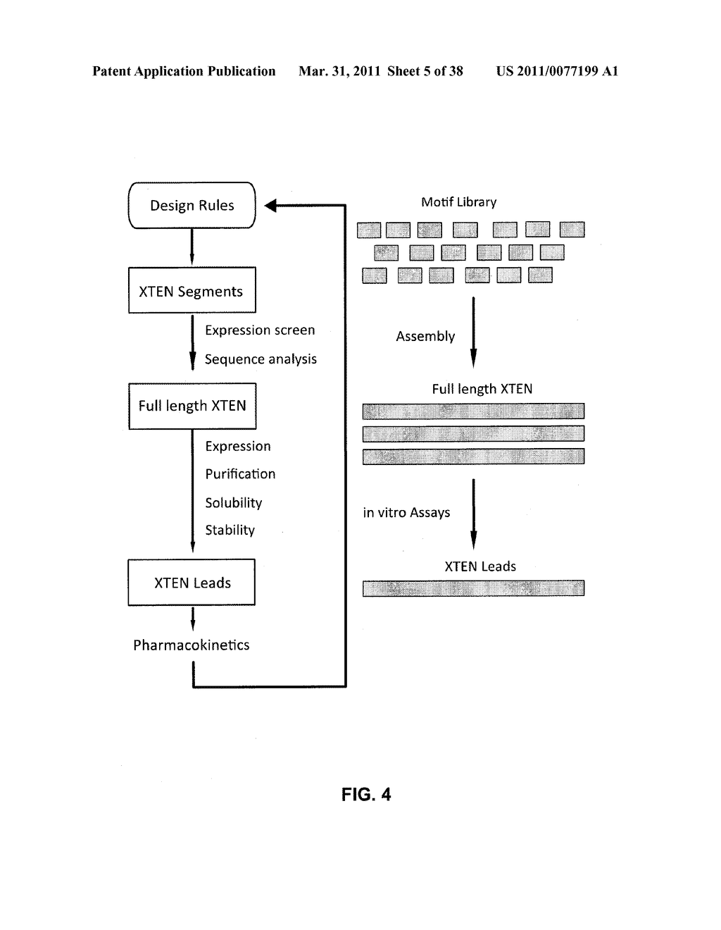 GROWTH HORMONE POLYPEPTIDES AND METHODS OF MAKING AND USING SAME - diagram, schematic, and image 06