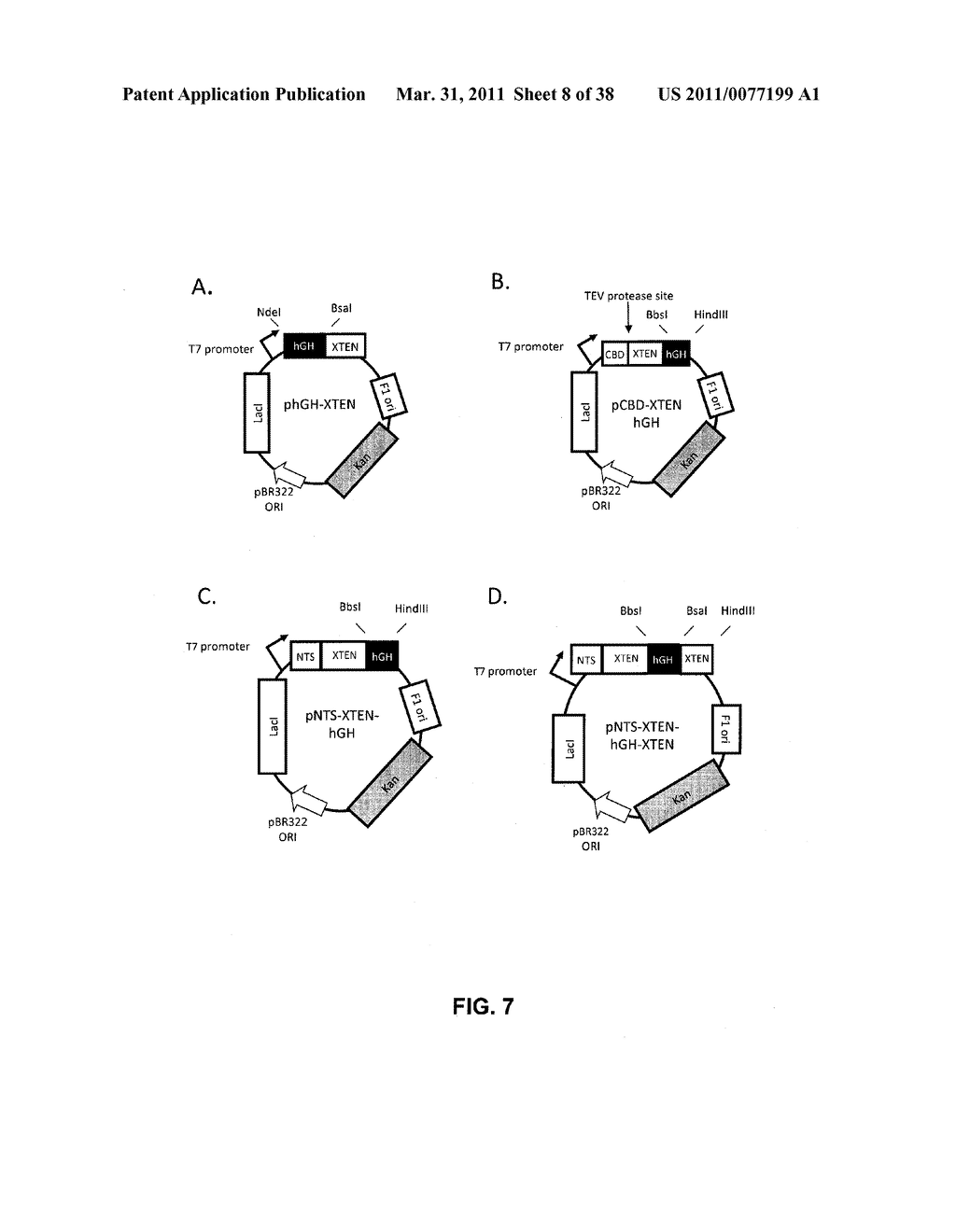 GROWTH HORMONE POLYPEPTIDES AND METHODS OF MAKING AND USING SAME - diagram, schematic, and image 09