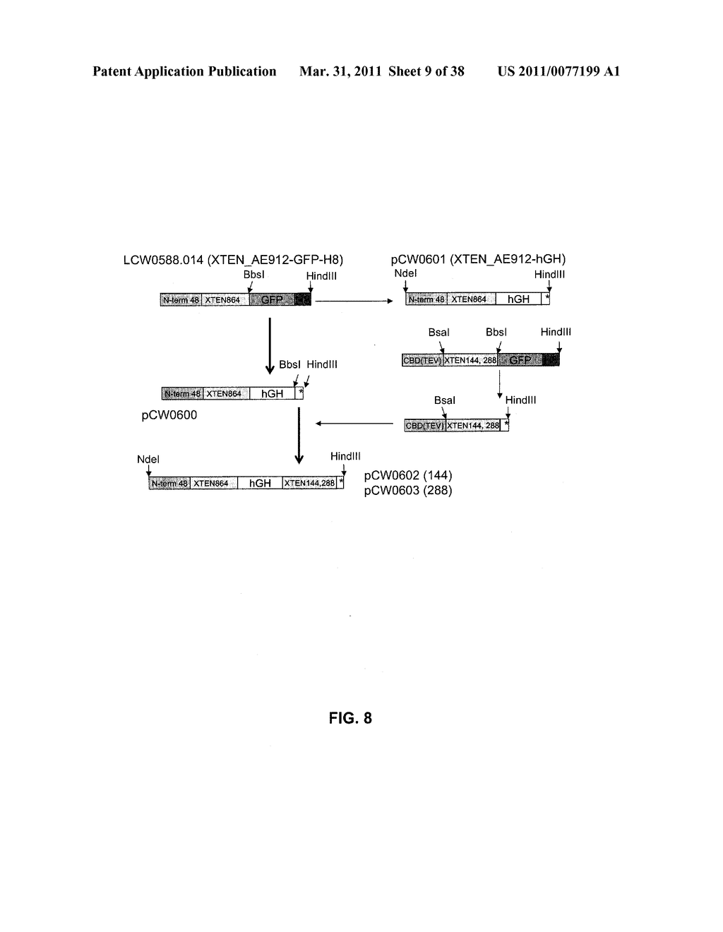 GROWTH HORMONE POLYPEPTIDES AND METHODS OF MAKING AND USING SAME - diagram, schematic, and image 10