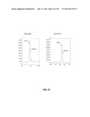 GROWTH HORMONE POLYPEPTIDES AND METHODS OF MAKING AND USING SAME diagram and image