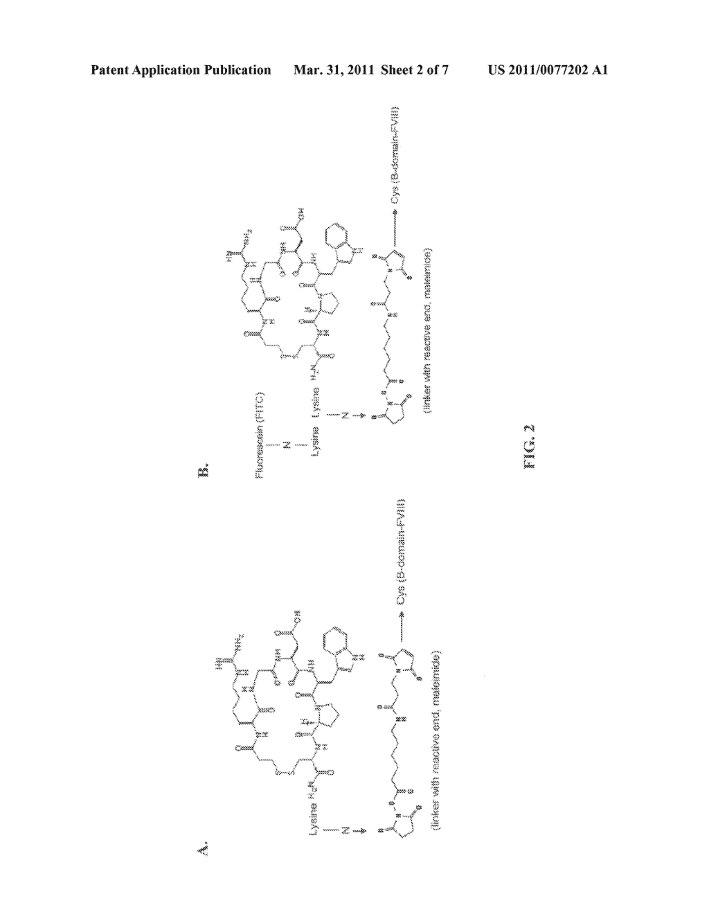 Targeted Coagulation Factors and Method of Using the Same - diagram, schematic, and image 03