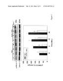 LINOLEIC PHOSPHOLIPIDS AND USES THEREOF FOR INHIBITING INFLAMMATORY AND NEURODEGENERATIVE PROCESSES diagram and image