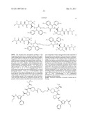 INHIBITORS OF IAP diagram and image