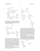 INHIBITORS OF IAP diagram and image