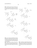 INHIBITORS OF IAP diagram and image