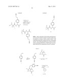 INHIBITORS OF IAP diagram and image