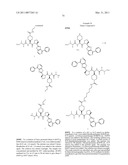 INHIBITORS OF IAP diagram and image