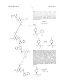 INHIBITORS OF IAP diagram and image