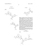 INHIBITORS OF IAP diagram and image