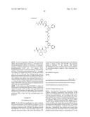 INHIBITORS OF IAP diagram and image