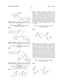 DERIVATIVES FOR MODULATION OF ION CHANNELS diagram and image