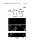 Pharmaceutical Compositions for Treatment of MicroRNA Related Diseases diagram and image