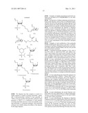 Pharmaceutical Compositions for Treatment of MicroRNA Related Diseases diagram and image