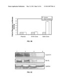 STAT3 INHIBITING COMPOSITIONS AND METHODS diagram and image