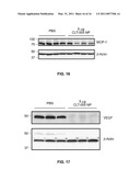 STAT3 INHIBITING COMPOSITIONS AND METHODS diagram and image