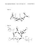 CARBOHYDRATE LACTONE POLYMERS diagram and image