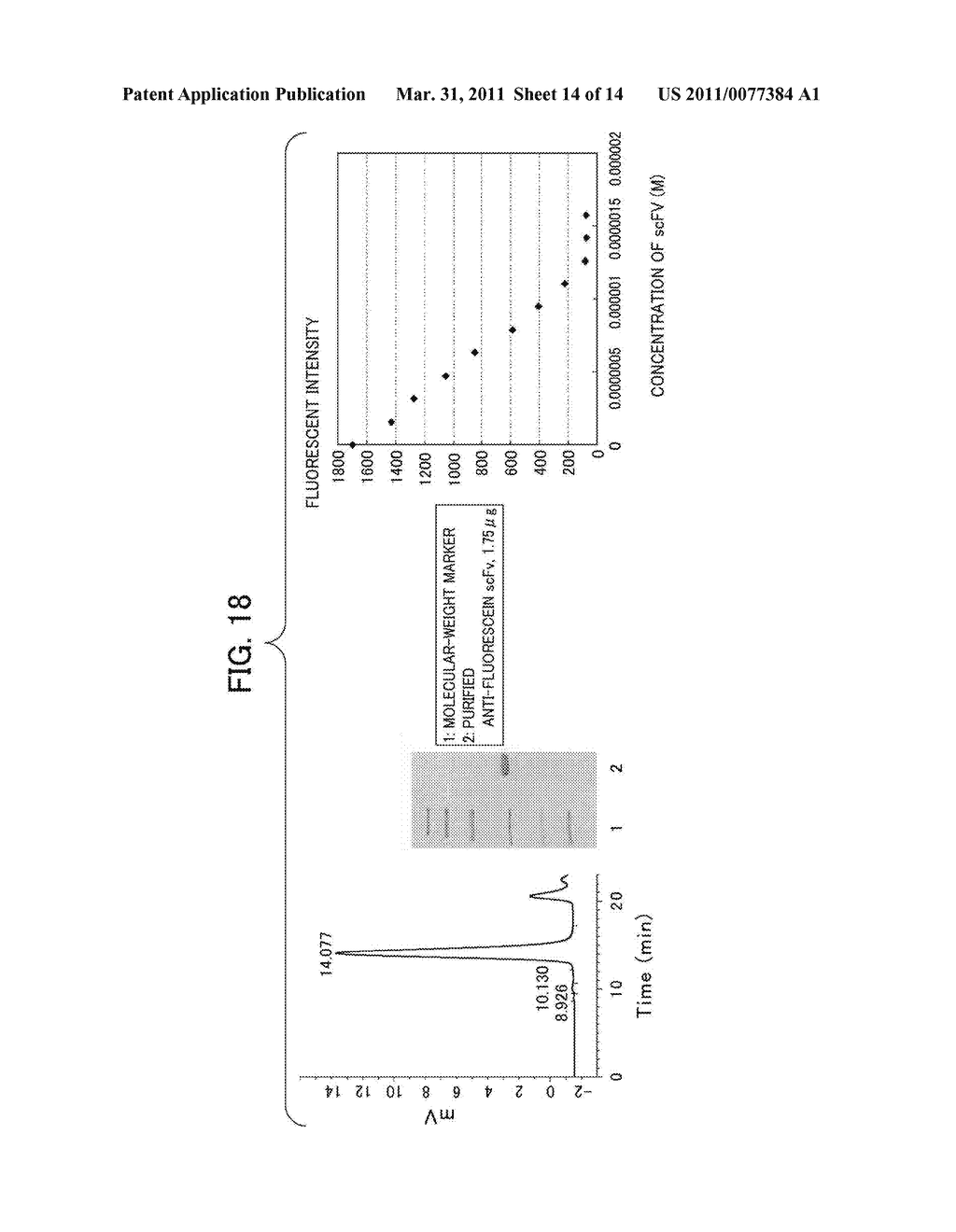 PROTEIN REFOLDING METHOD - diagram, schematic, and image 15