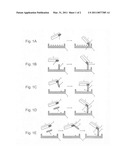 Protein arrays diagram and image