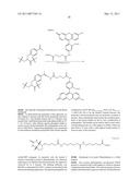 Protein arrays diagram and image