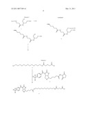 Novel Reagents Utilizing A Serinol Scaffold For Labeling Synthetic Oligonucleotides diagram and image