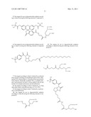 Novel Reagents Utilizing A Serinol Scaffold For Labeling Synthetic Oligonucleotides diagram and image