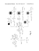 PHOSPHATE-CONTAINING NANOPARTICLE DELIVERY VEHICLE diagram and image