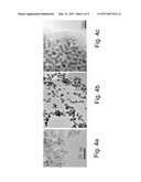 PHOSPHATE-CONTAINING NANOPARTICLE DELIVERY VEHICLE diagram and image