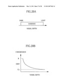 Electronic endoscope system, processor for electronic endoscope, and method of displaying vascular information diagram and image