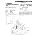 Biopsy marker composition and method of use diagram and image