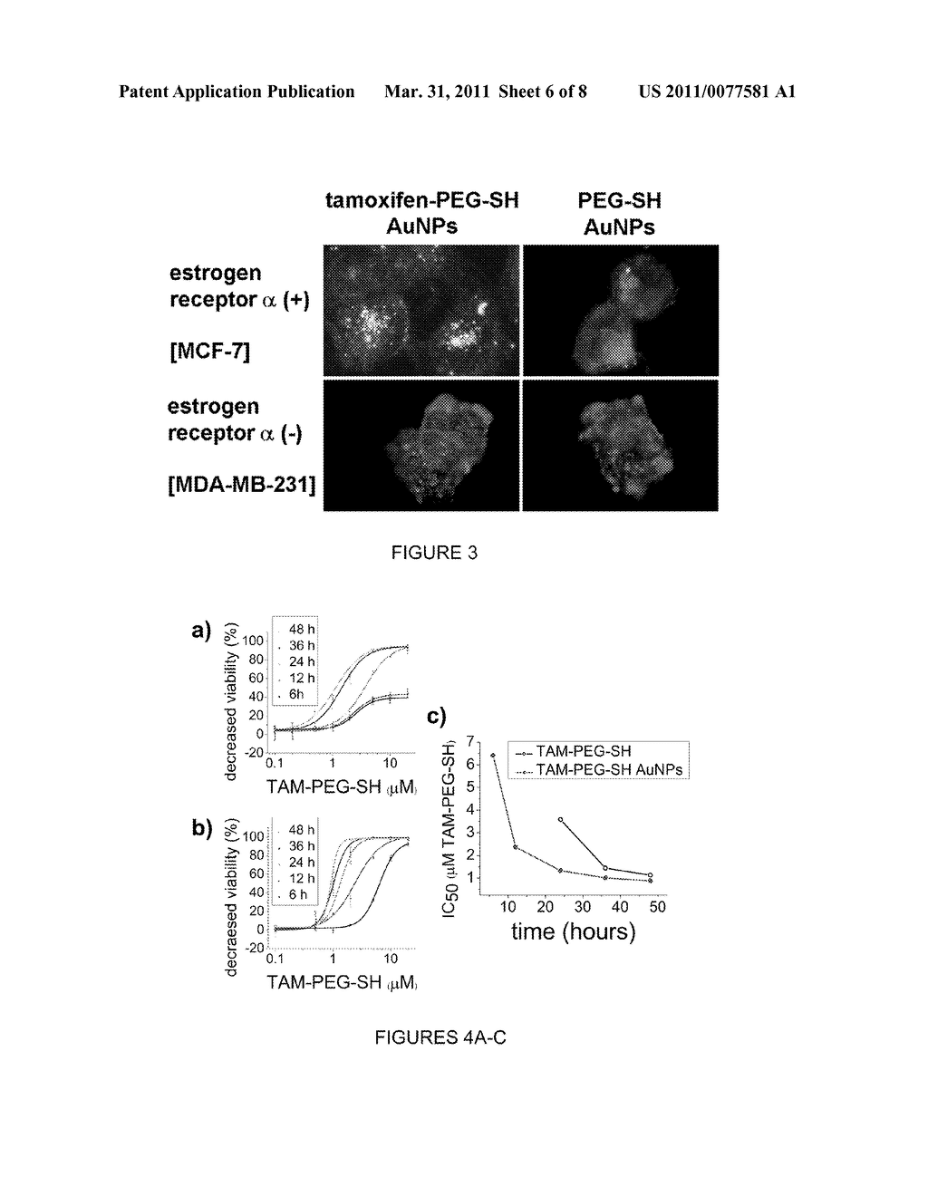 TARGETED CELLULAR DELIVERY OF NANOPARTICLES - diagram, schematic, and image 07