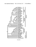 POLYNUCLEOTIDES AND POLYPEPTIDES IN PLANTS diagram and image