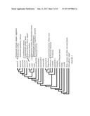 POLYNUCLEOTIDES AND POLYPEPTIDES IN PLANTS diagram and image