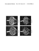 POLYNUCLEOTIDES AND POLYPEPTIDES IN PLANTS diagram and image