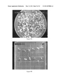 POLYNUCLEOTIDES AND POLYPEPTIDES IN PLANTS diagram and image